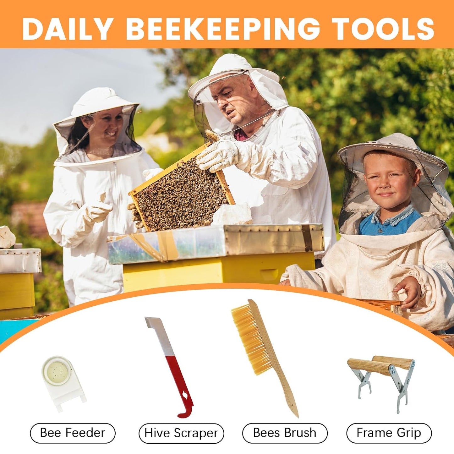 Newest 8 Frame Beehive Starter Kit Hand Painted Includes Beekeeping Supplies Tools and Sting Proof Bee Suit