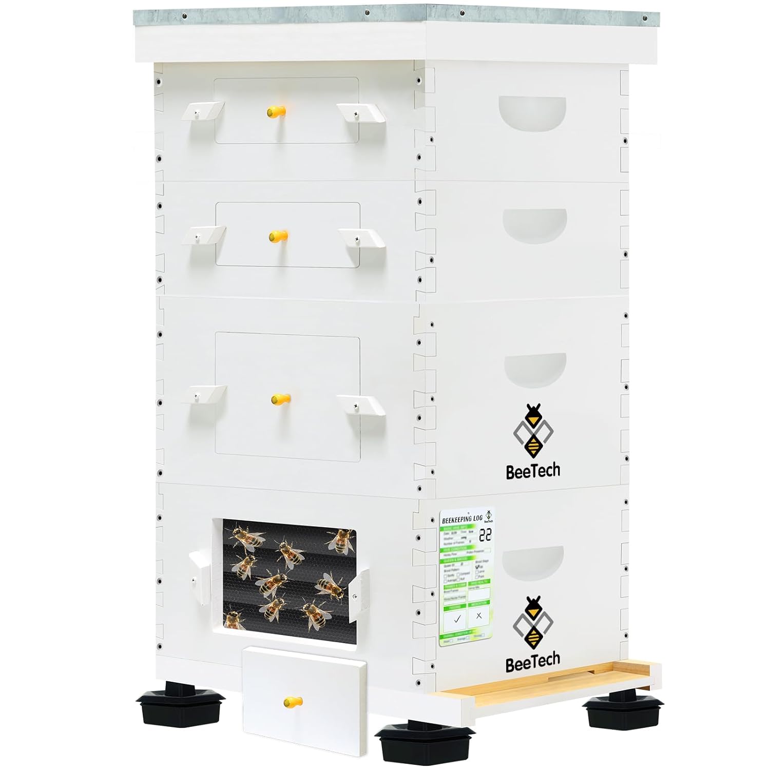 Newest Windows 10 Frame Beehive Hand Painted Includes Unassembled Bee Hive Box with Beehive Frames and Foundations (2 Deep & 2 Medium)