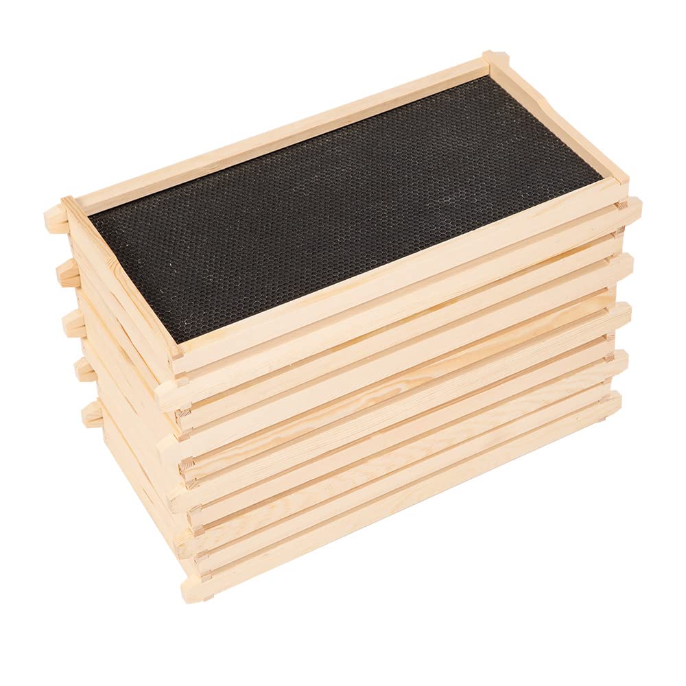 10-Pack Deep Brood Box Wooden Beehive Frames and 100% Beeswax Dipped Plastic Foundations for Beekeeping (Unassembled)