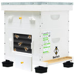 8 Frame Langstroth Beehive Medium Super Box Hand Painted Not Includes Wooden Frames & Waxed Foundations (Unassembled)