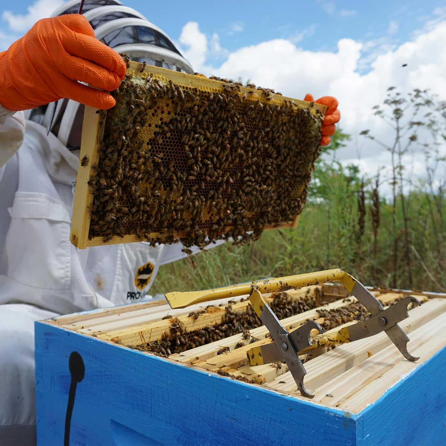 10-Pack Deep Brood Box Wooden Beehive Frames and 100% Beeswax Dipped Plastic Foundations for Beekeeping (Unassembled)