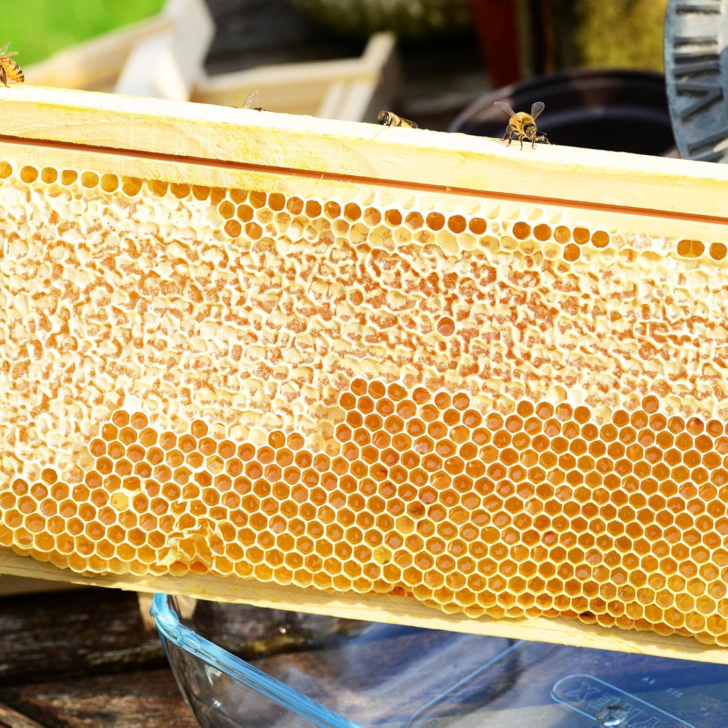 10-Pack Medium Super Box Wooden Beehive Frames and Beeswax Dipped Plastic Foundations for Beekeeping (Unassembled)