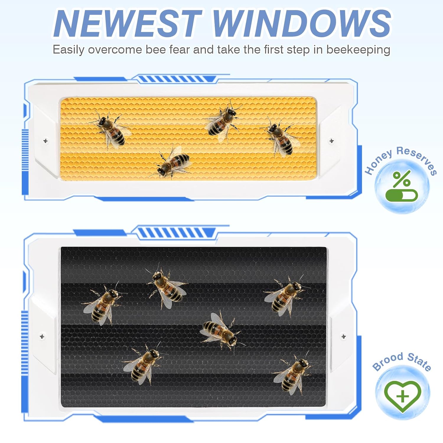Newest Windows 10 Frame Beehive Hand Painted Includes Unassembled Bee Hive Box with Beehive Frames and Foundations (2 Deep & 2 Medium)
