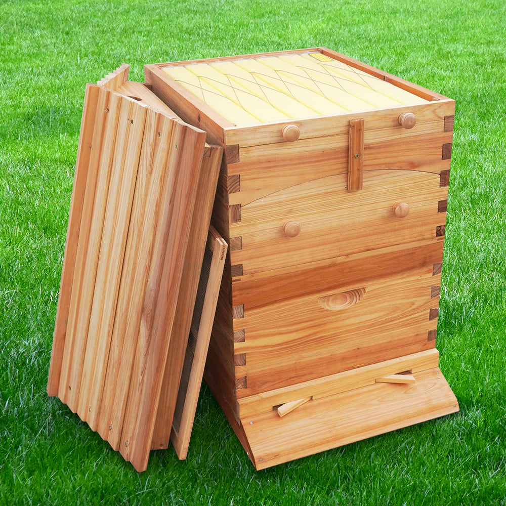 Auto Bee Hive, with 7pcs Auto Super Frames, 10pcs Brood Frames With Plastic Foundation, Bee House with 1pcs Super Boxes, 1pcs Brood Boxes, Bee Hives Starter Beekeeping Kits