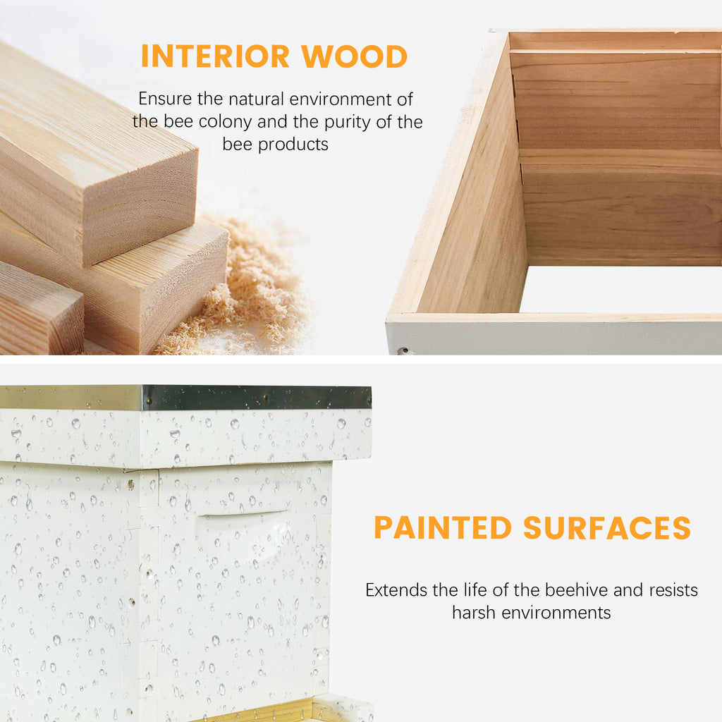 BeeTech 5 Frame Langstroth Nuc Beehive Kit with Mesh Transport Bag, Hand Painted Bee Hive Nuc Box Includes Beehive Frames and Beewax Foundations
