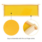 10-Pack Medium Super Box Wooden Beehive Frames and Beeswax Dipped Plastic Foundations for Beekeeping (Unassembled)