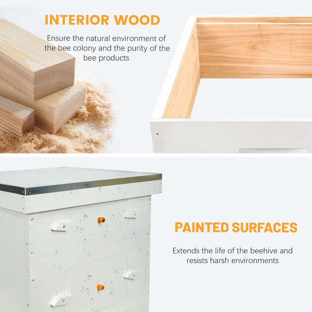 10 Frame Langstroth Medium Super Bee Hive Box Include Beehive Frames and Wax Foundations (Unassembled)