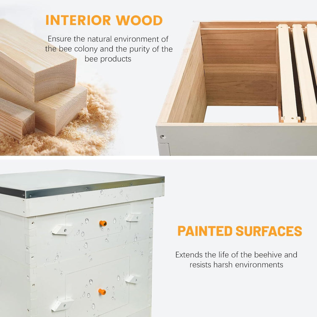10 Frames Beehive Deep Brood Box and Medium Super Box Unassembled