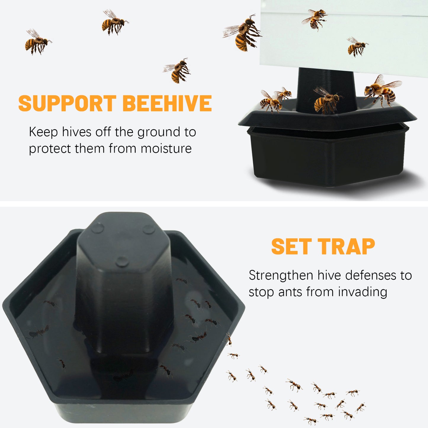BeeTech 10 Frame Langstroth Bee Hive Hand Painted Includes Beehive Frames and Beeswax Coated Foundations (2 Deep Boxes & 1 Medium Box)