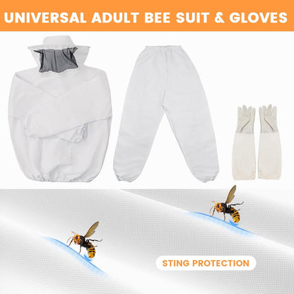 Newest 8 Frame Beehive Starter Kit Hand Painted Includes Beekeeping Supplies Tools and Sting Proof Bee Suit