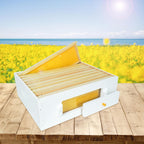 10 Frame Langstroth Medium Super Bee Hive Box Include Beehive Frames and Wax Foundations (Unassembled)