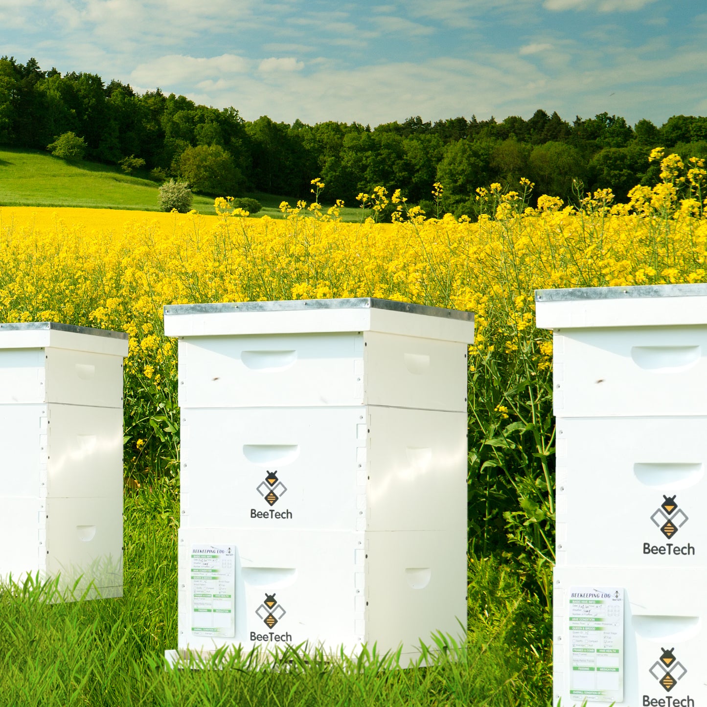 BeeTech 10 Frame Langstroth Bee Hive Hand Painted Includes Beehive Frames and Beeswax Coated Foundations (2 Deep Boxes & 1 Medium Box)