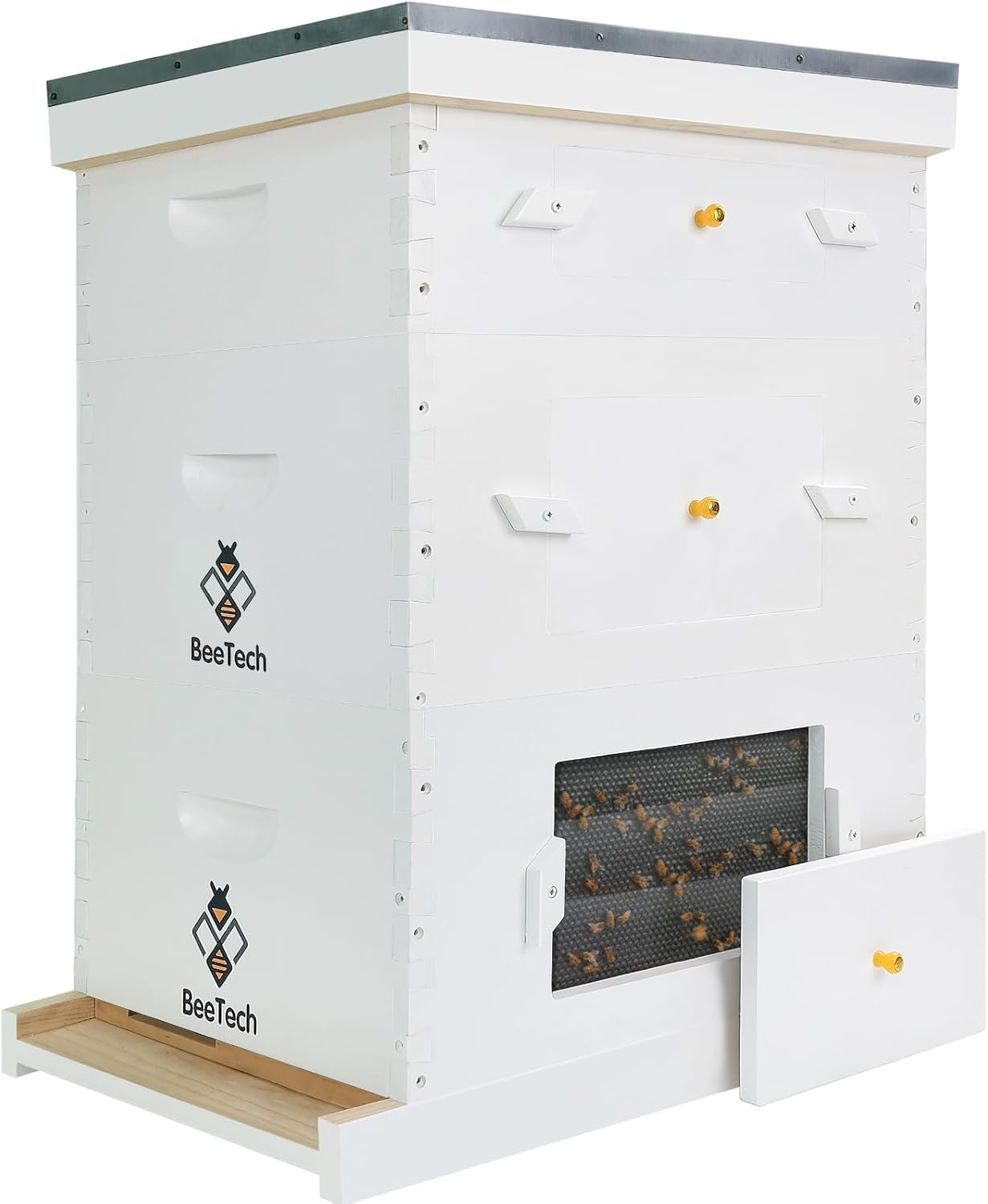 Newest Windows 8 Frame Bee Hive Kit Hand Painted Includes Unassembled Beehive Box with Beehive Frames and Foundations（ (1 Deep & 1 Medium)）